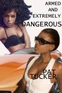 Armed And Extremely Dangerous - Preview