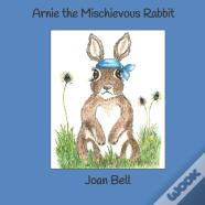 Arnie The Mischievous Rabbit
