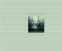 Arno Fischer ; The Garden - Preview