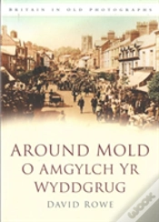 Capa do artigo Around Mold - O Amgylch Yr Wyddgrug