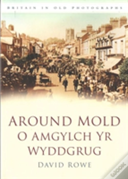 Capa do artigo Around Mold - O Amgylch Yr Wyddgrug
