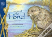 Around The Pond