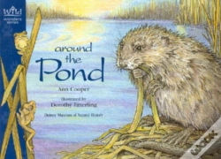 Capa do artigo Around The Pond