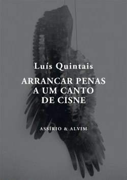 Capa do artigo Arrancar Penas a um Canto de Cisne