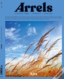 Capa do artigo Arrels #15