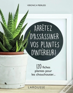 Capa do artigo Arrêtez D'Assassiner Vos Plantes D'Intérieur