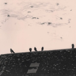 Capa do artigo Arrhythmia - Vinil