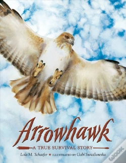 Capa do artigo Arrowhawk