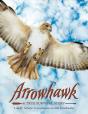 Arrowhawk - Preview