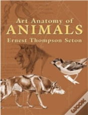 Capa do artigo Art Anatomy Of Animals