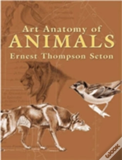 Capa do artigo Art Anatomy Of Animals