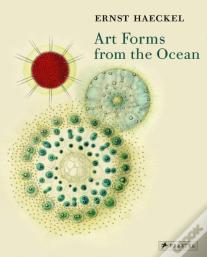 Art Forms From The Ocean