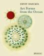 Art Forms From The Ocean - Preview