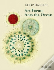 Capa do artigo Art Forms From The Ocean