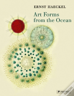 Capa do artigo Art Forms From The Ocean