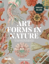 Art Forms In Nature By Ernst Haeckel
