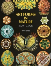 Capa do artigo Art Forms In Nature