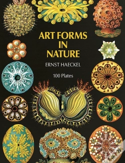 Capa do artigo Art Forms In Nature