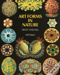 Art Forms In Nature