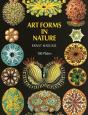 Art Forms In Nature - Preview
