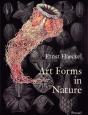 Art Forms In Nature - Preview