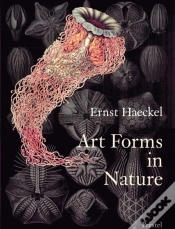 Capa do artigo Art Forms In Nature
