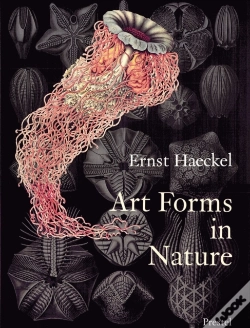 Capa do artigo Art Forms In Nature