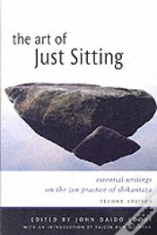 Capa do artigo Art Of Just Sitting