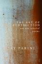 Art Of Subtraction - Preview