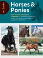 Art Studio: Horses & Ponies - Preview