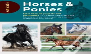 Art Studio: Horses & Ponies