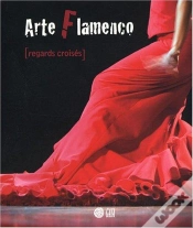 Capa do artigo Arte Flamenco ; Regards Croisés