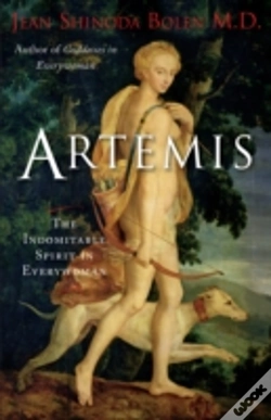 Capa do artigo Artemis