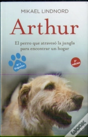 Capa do artigo Arthur