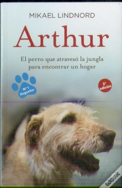 Capa do artigo Arthur
