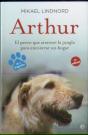 Arthur - Preview