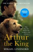 Arthur The King