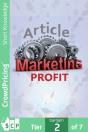 Article Marketing Profit - Preview