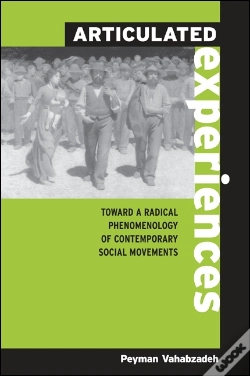 Capa do artigo Articulated Experiences