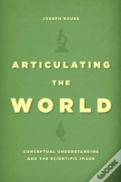 Capa do artigo Articulating The World
