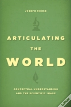 Capa do artigo Articulating The World