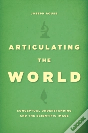 Capa do artigo Articulating The World