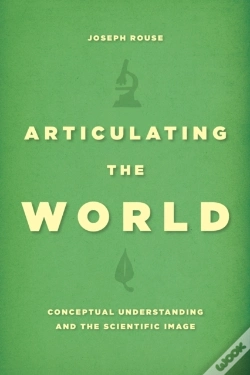 Capa do artigo Articulating The World