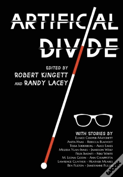 Capa do artigo Artificial Divide