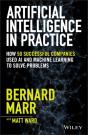 Artificial Intelligence In Practice - Preview