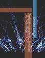 Artificial Intelligence Technology Life Cycle Stage - Preview