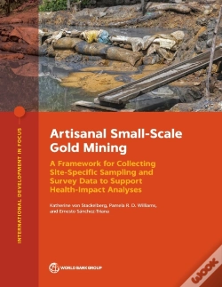 Capa do artigo Artisanal Small-Scale Gold Mining