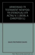 Arweiniad I'R Testament Newydd