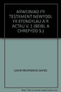 Arweiniad I'R Testament Newydd - Preview