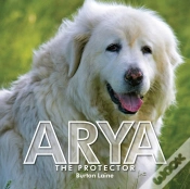 Capa do artigo Arya